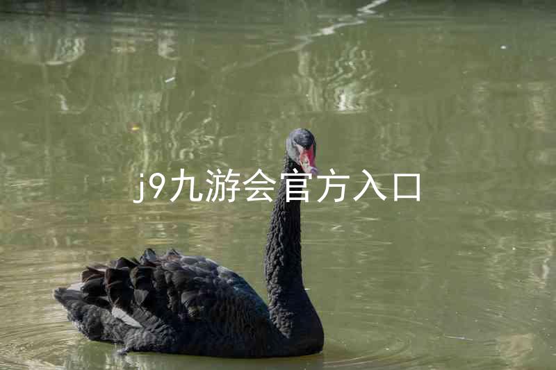 j9九游会官方入口