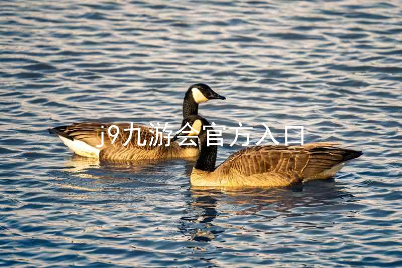 j9九游会官方入口