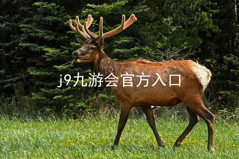 j9九游会官方入口